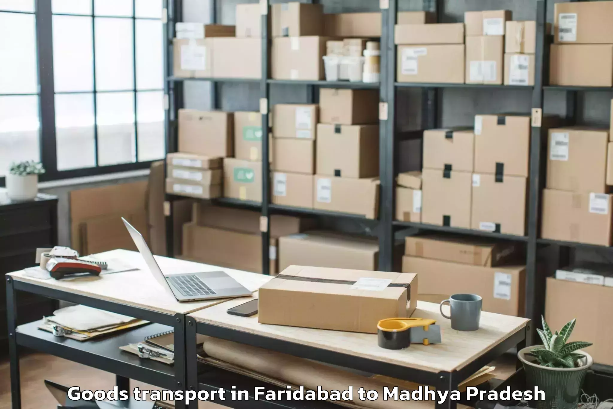 Professional Faridabad to Mauganj Goods Transport